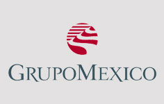 Grupo México